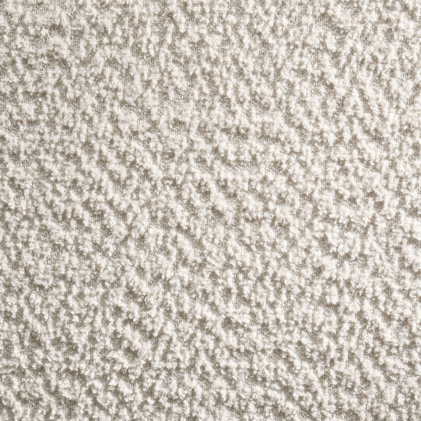 Mellie Canopy Bed by HouseOfZazla cream textured carpet backdrop on Tampa Home & Garden Store