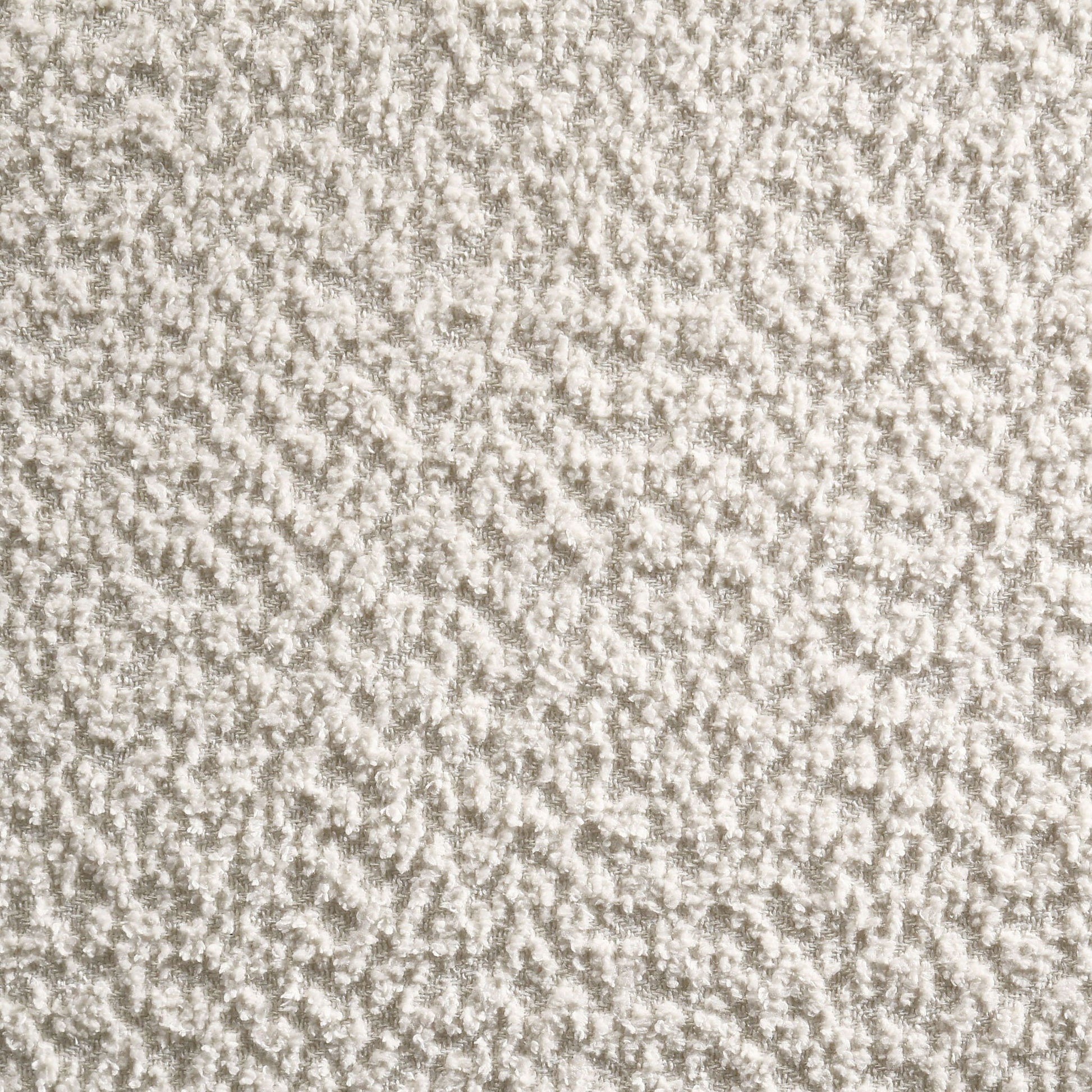 Mellie Canopy Bed by HouseOfZazla cream textured carpet backdrop on Tampa Home & Garden Store