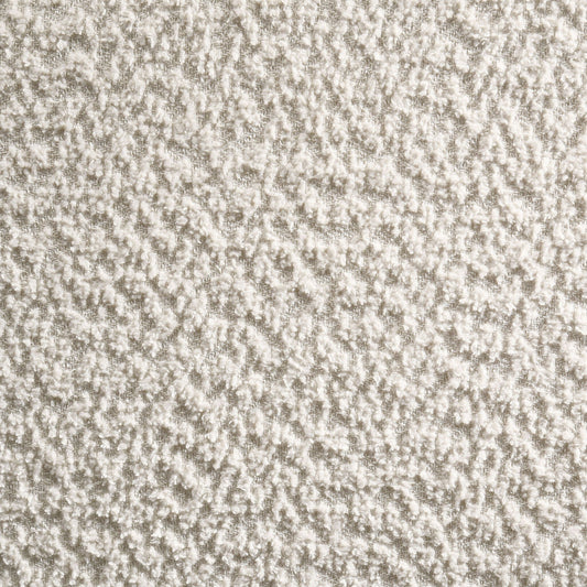 Mellie Canopy Bed by HouseOfZazla cream textured carpet backdrop on Tampa Home & Garden Store