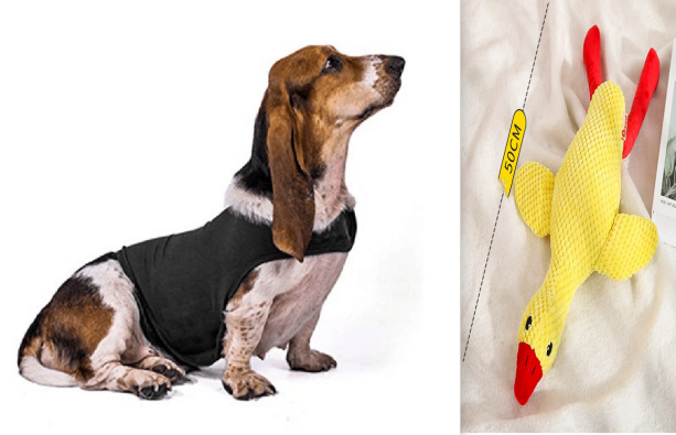 Pet Zen anxiety jacket vest for dogs in black; 2-item set yellow 50cm plush crocodile toy on Tampa Home & Garden Store