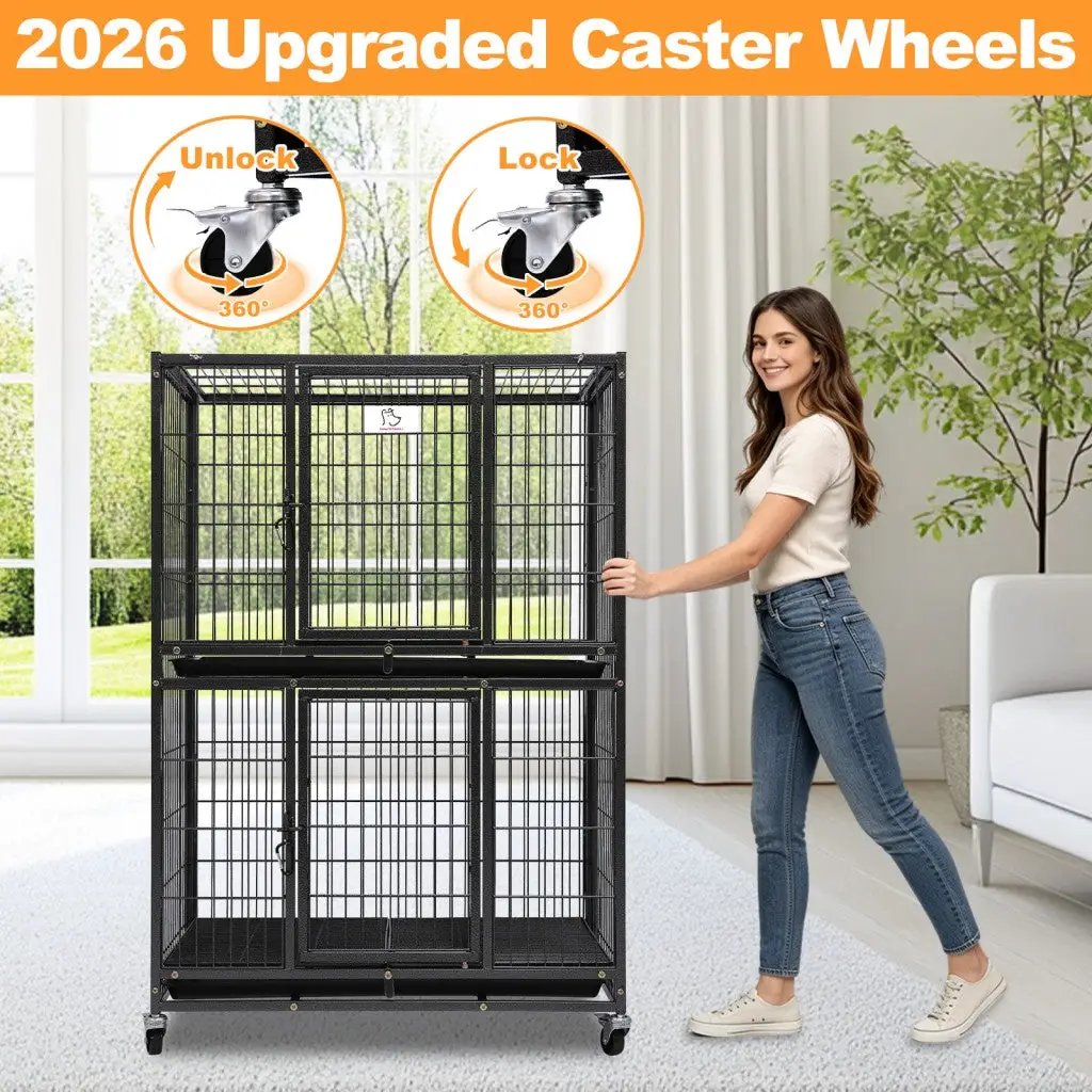31-Inch two-tier dog crate with auto locks, black metal crate on casters for easy mobility on Tampa Home & Garden Store
