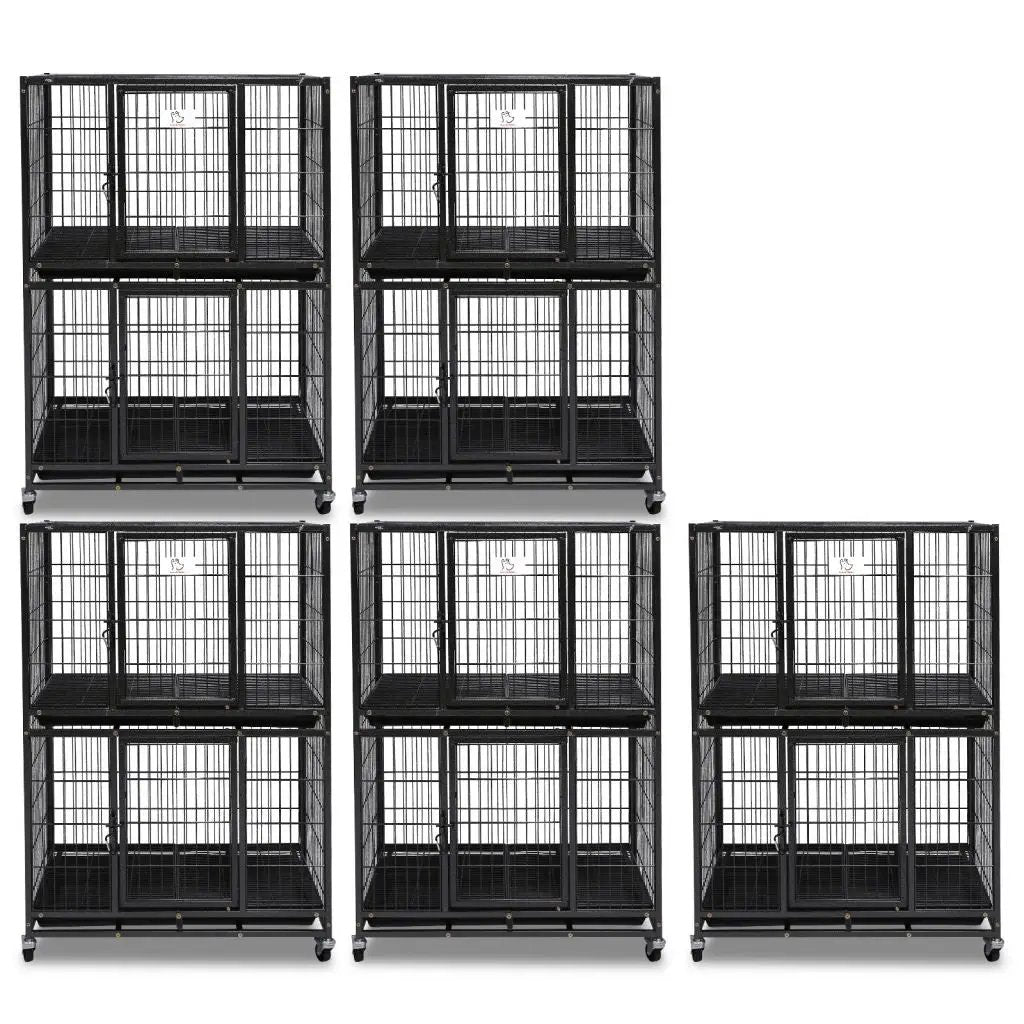 Six black 31in two-tier dog crates with auto-lock doors on rolling bases on Tampa Home & Garden Store