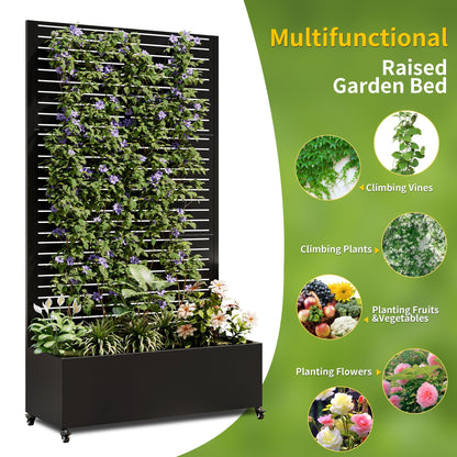 Metal planter box with trellis raised bed in black by HouseOfZazla; climbing vines on trellis on Tampa Home & Garden Store