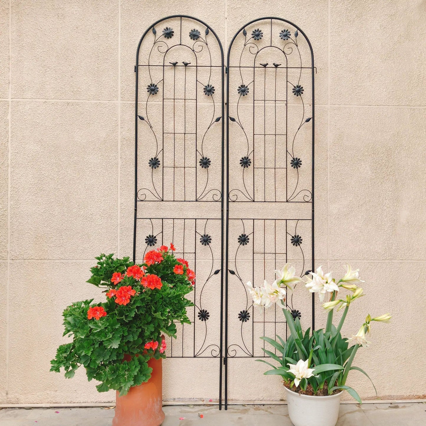 Metal Garden Trellis for Climbing Plants Outdoor