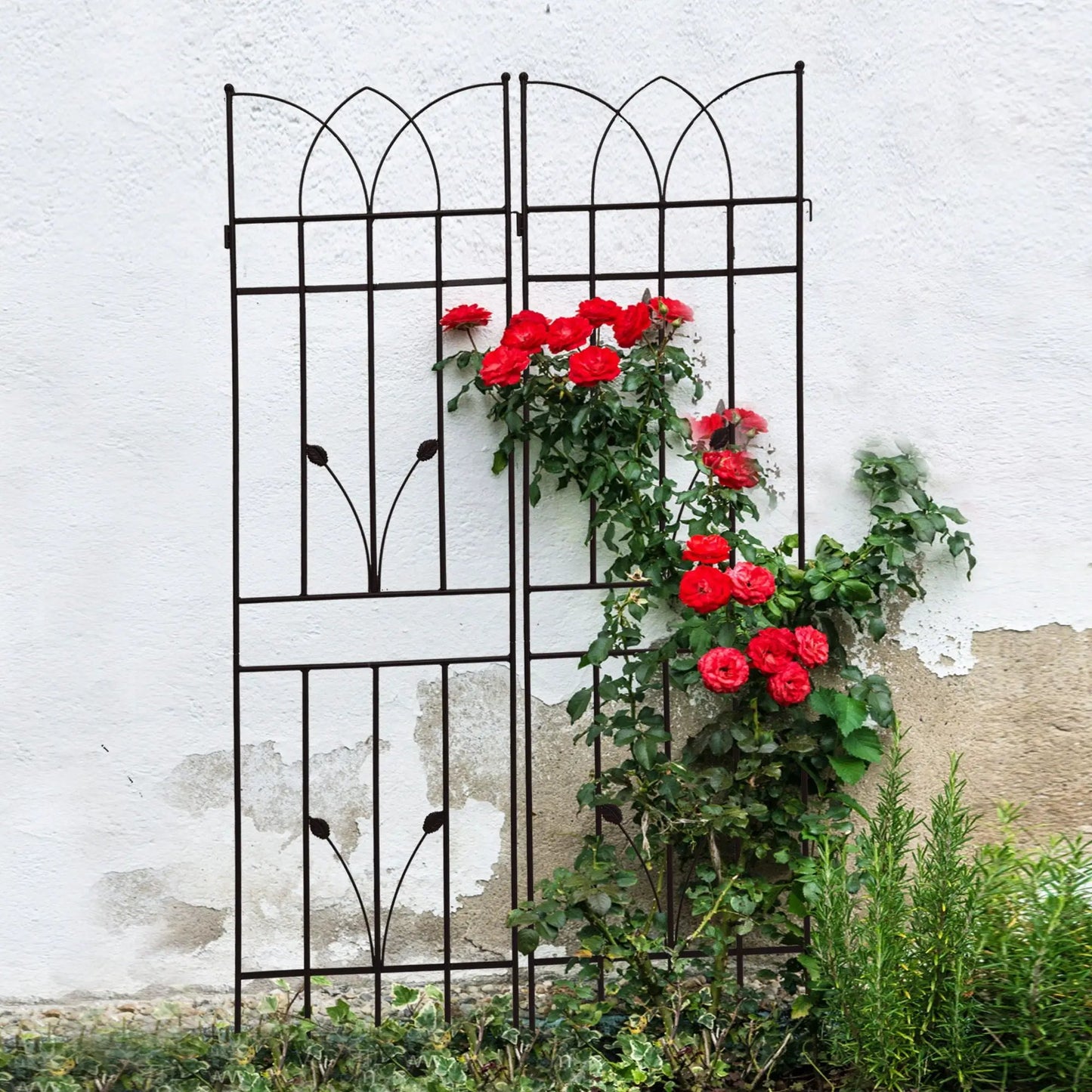 Rustproof Metal Trellis For Climbing Plants