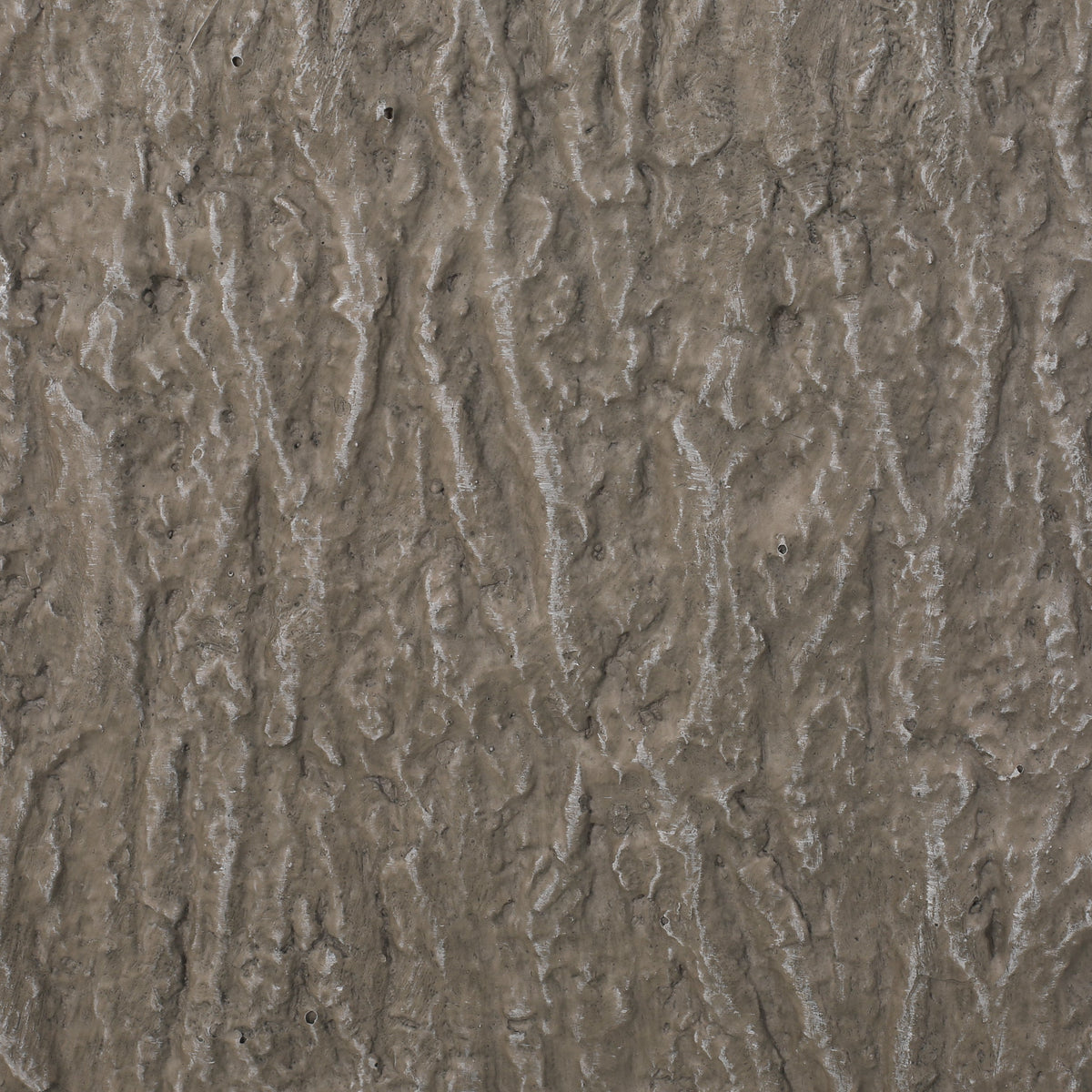 Textured gray-brown wall surface with irregular ridges and small pits on Tampa Home & Garden Store