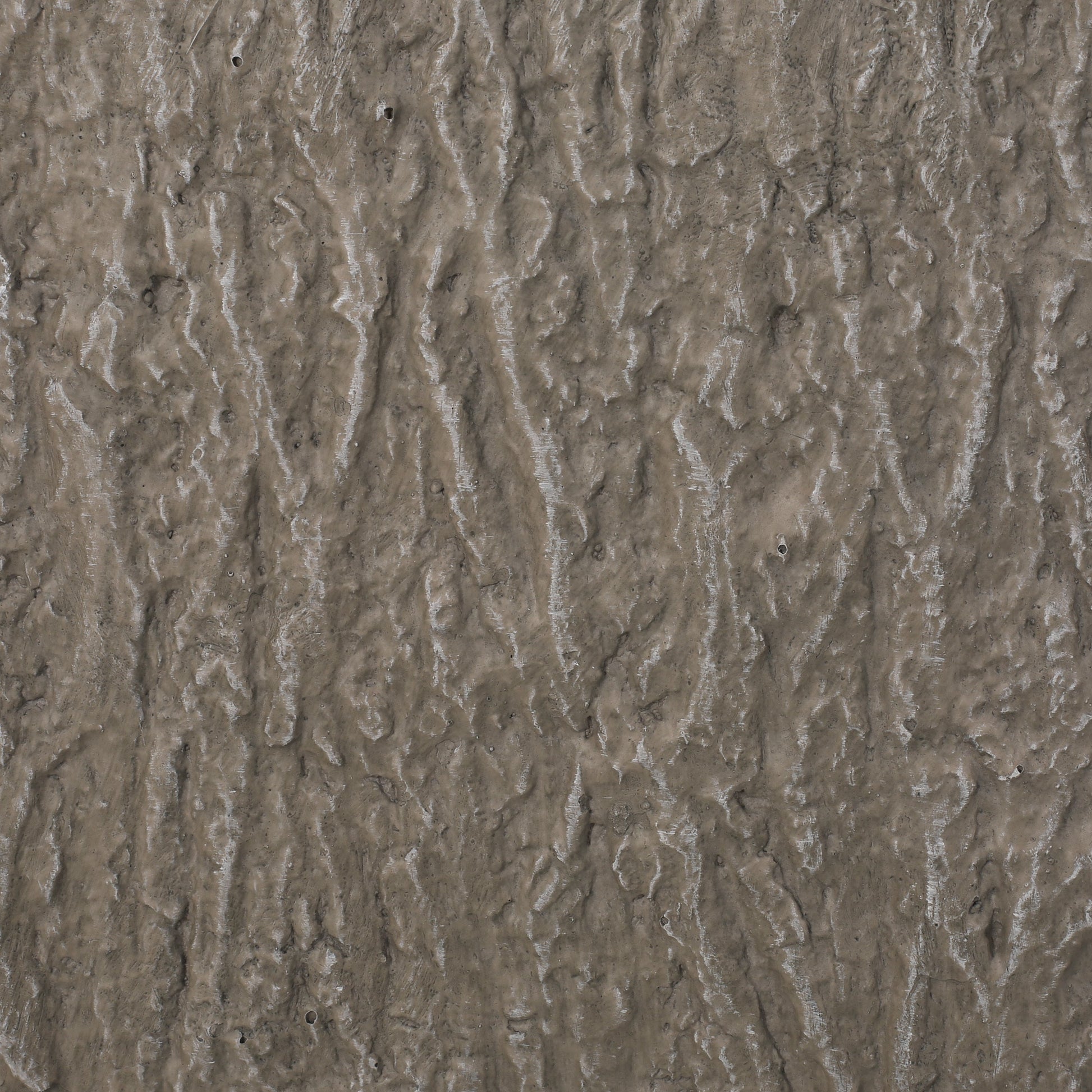 Textured gray-brown wall surface with irregular ridges and small pits on Tampa Home & Garden Store