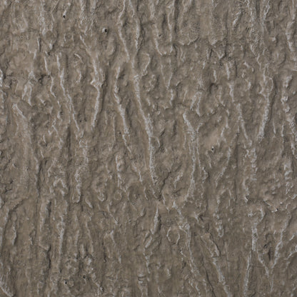 Textured gray-brown wall surface with irregular ridges and small pits on Tampa Home & Garden Store