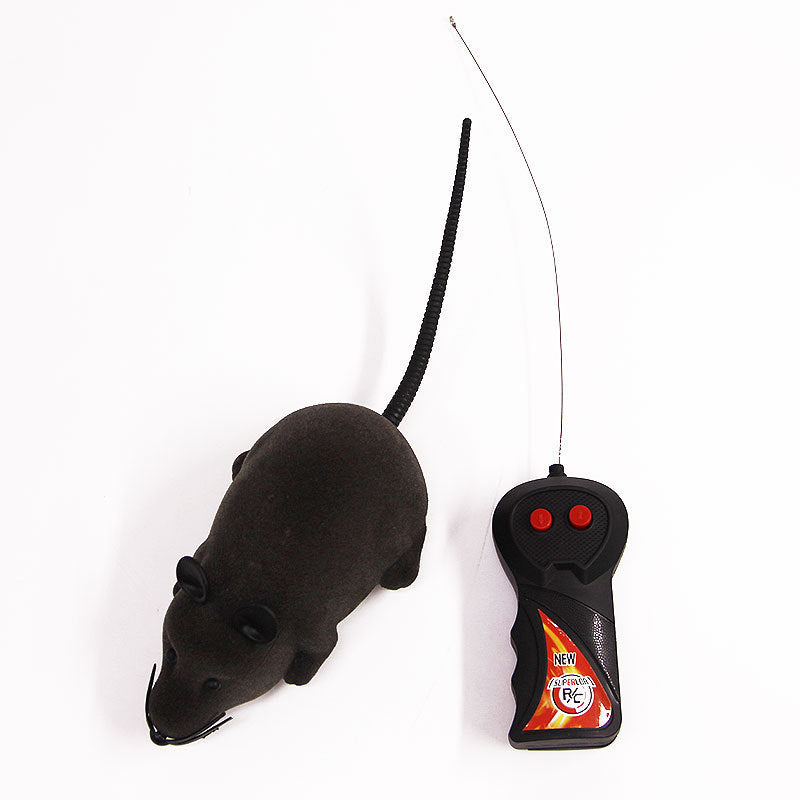 Remote control black mouse toy with tail and two-button controller Sell My Stuff on Tampa Home & Garden Store