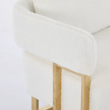 Decorative Upholstered Side Chair for Living Room