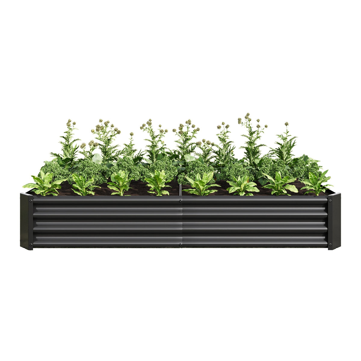 Raised garden bed 6x3x1 ft metal rectangular outdoor planter by HouseOfZazla with greenery on Tampa Home & Garden Store