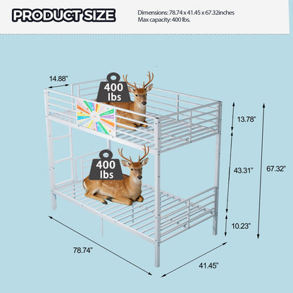 HouseOfZazla white bunk bed convertible to two twin beds with ladder and guardrails on Tampa Home & Garden Store