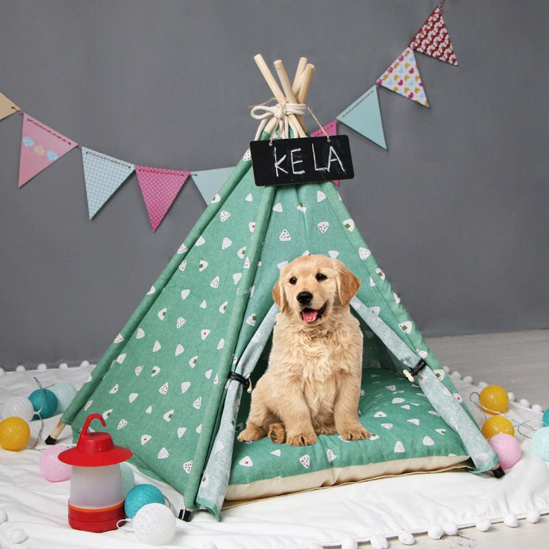 Pet tent kennel mint green teepee with white triangles, dog inside, bunting backdrop on Tampa Home & Garden Store