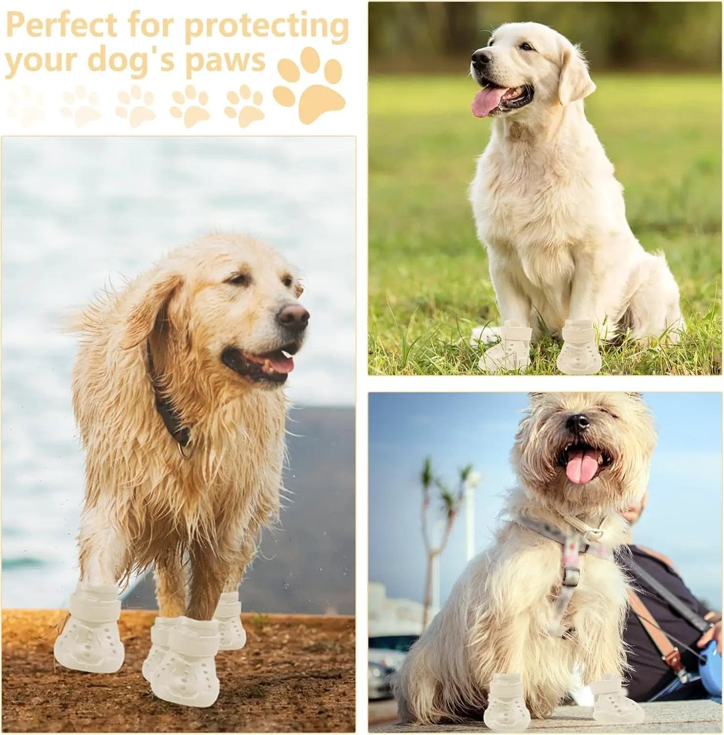 Indoor Dog Boots The Max & Rex Collection; white non-slip booties on four dogs in a collage on Tampa Home & Garden Store
