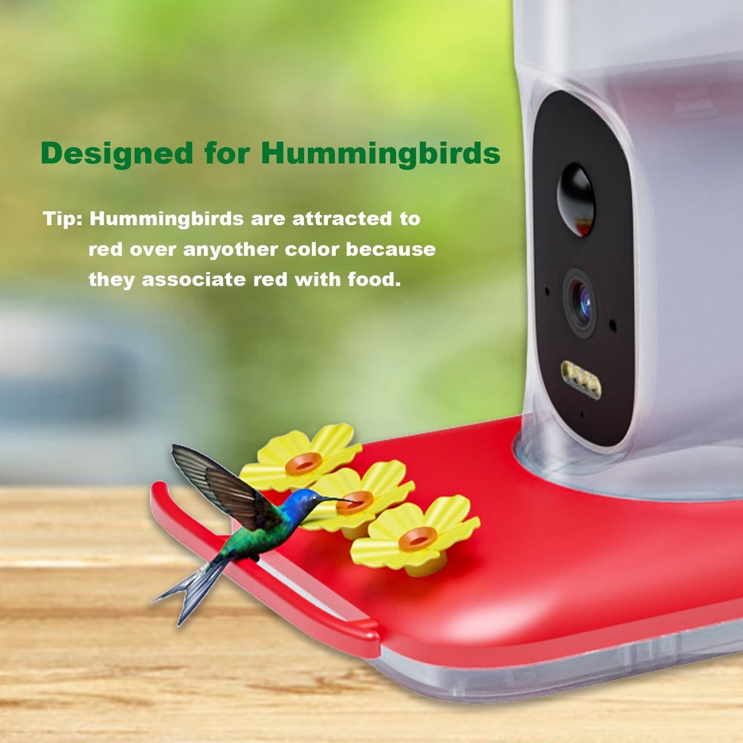 Intelligent Visual Hummingbird Water Feeder 5MP HD red feeder with camera on Tampa Home & Garden Store
