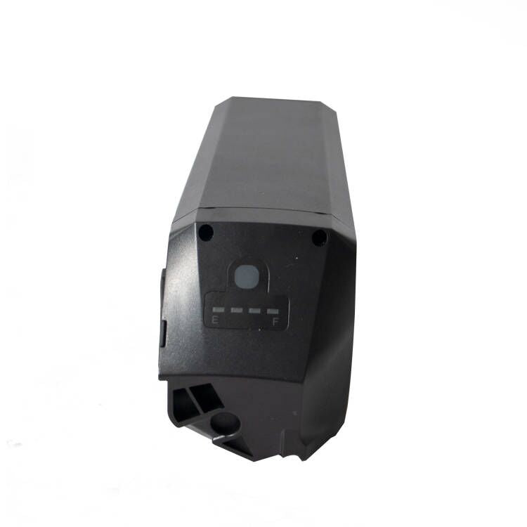 EUNORAU MAX/G20/30 Cargo Bike Battery black plastic housing with front status display on Tampa Home & Garden Store