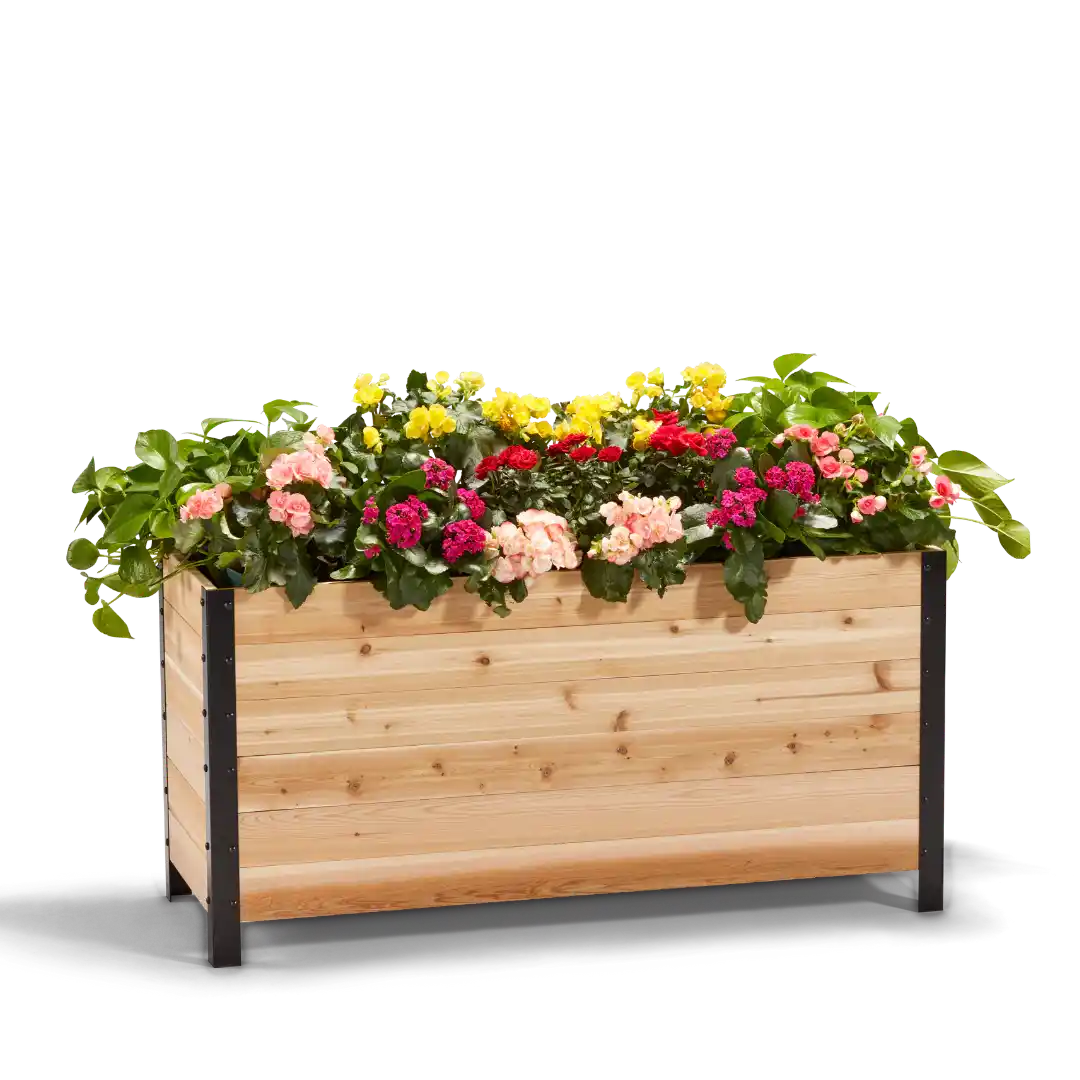 Red Cedar Planter Box 18"x48" | 24" Tall