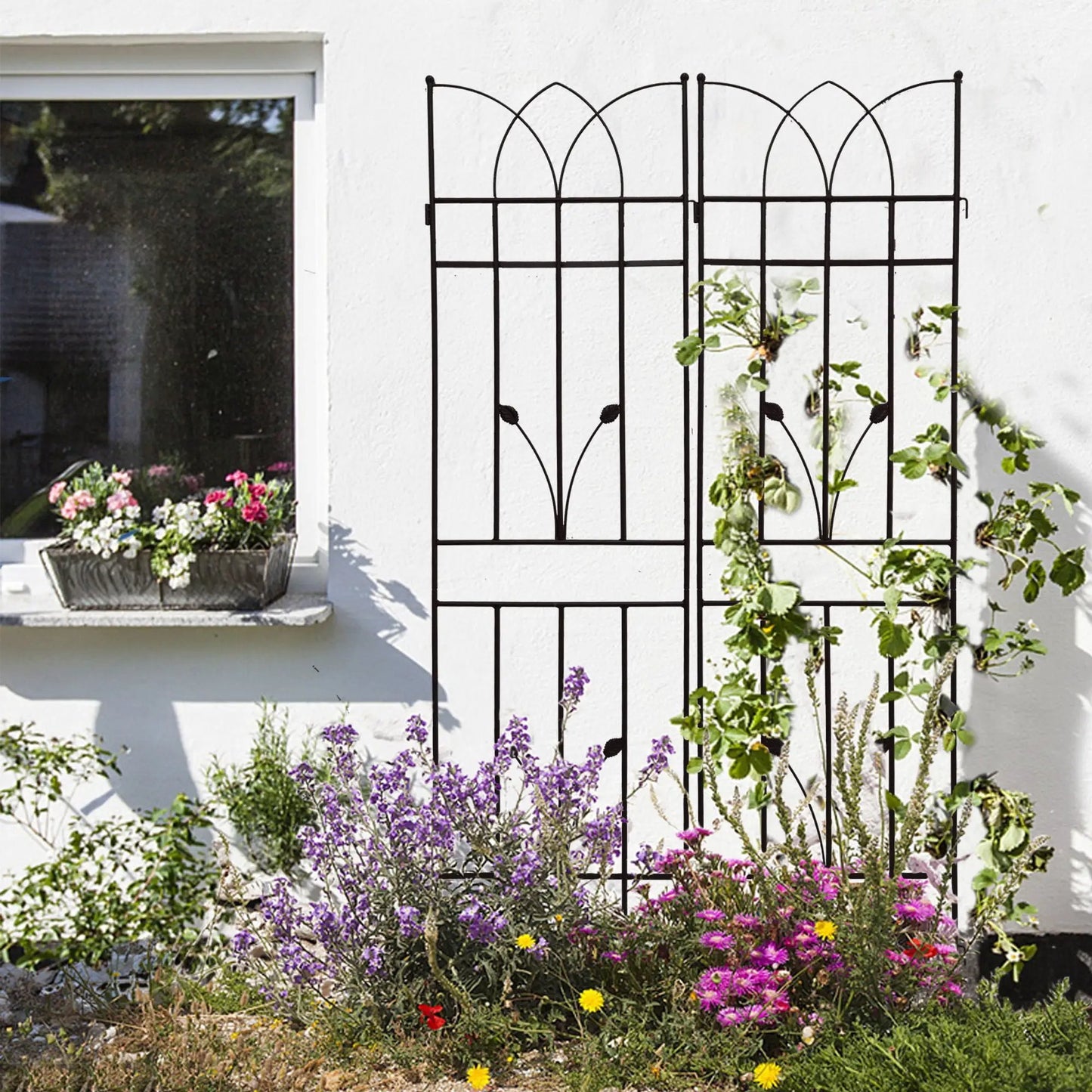 Rustproof Metal Trellis For Climbing Plants