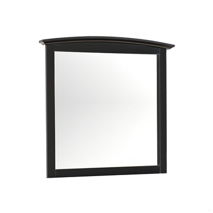 Elegant modern farmhouse wall mirror with curved top black frame and low distortion glass on Tampa Home & Garden Store