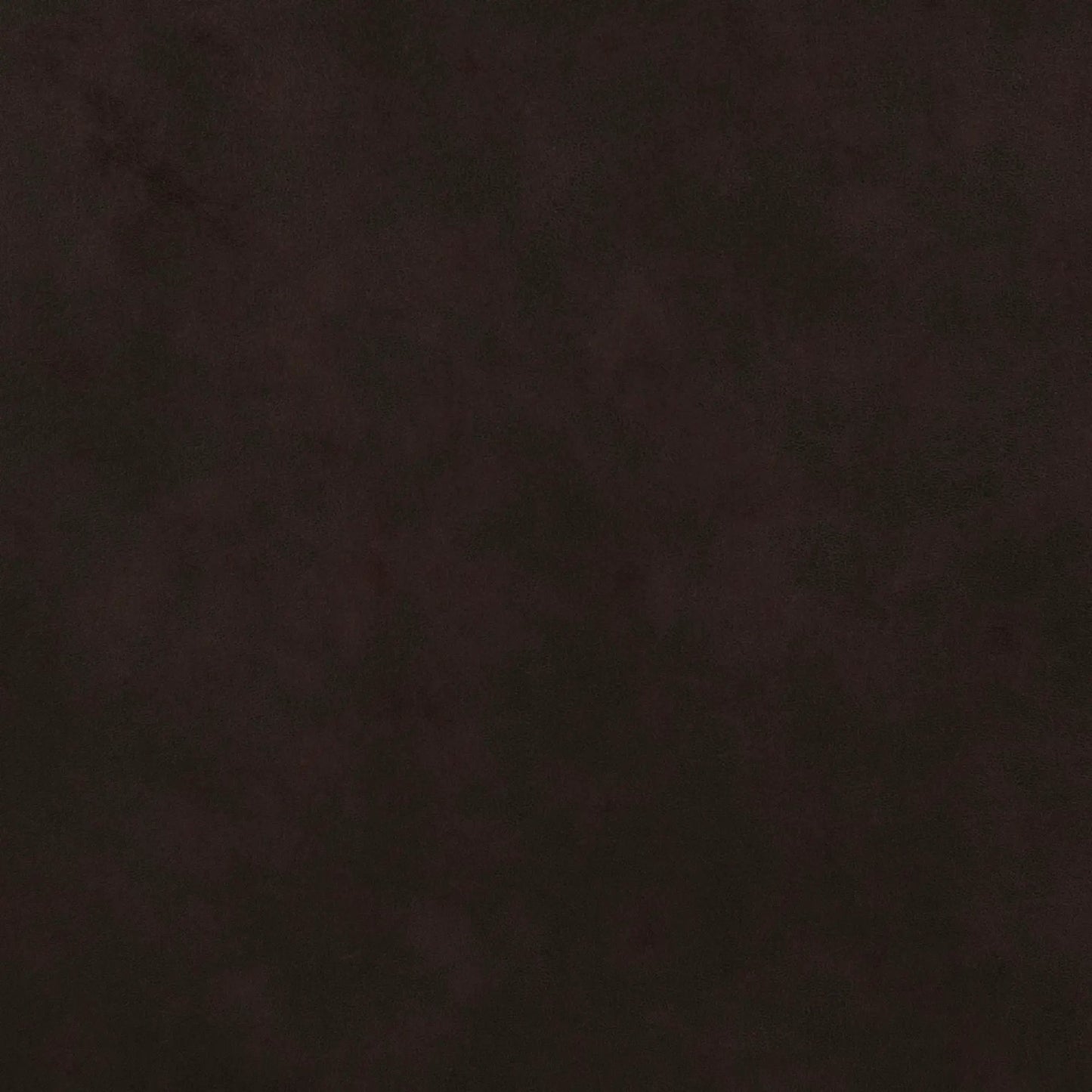 Dark brown leather-textured background, subtle grain pattern on Tampa Home & Garden Store