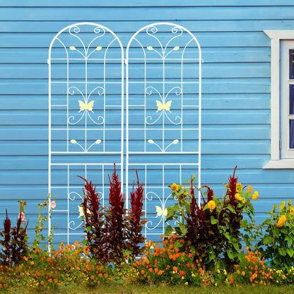 Garden Metal Trellis for Climbing Plants
