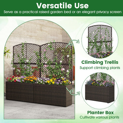 49 Inch Raised Garden Bed with Trellis and Wicker Planter Box