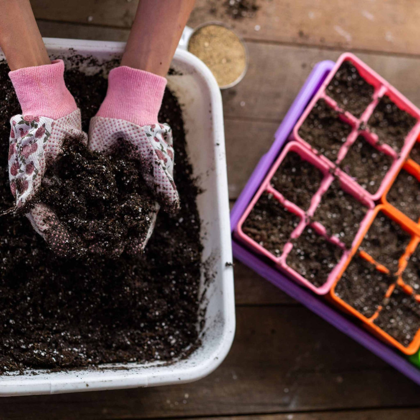 4 Cell Seed Tray Cell Plug Tray