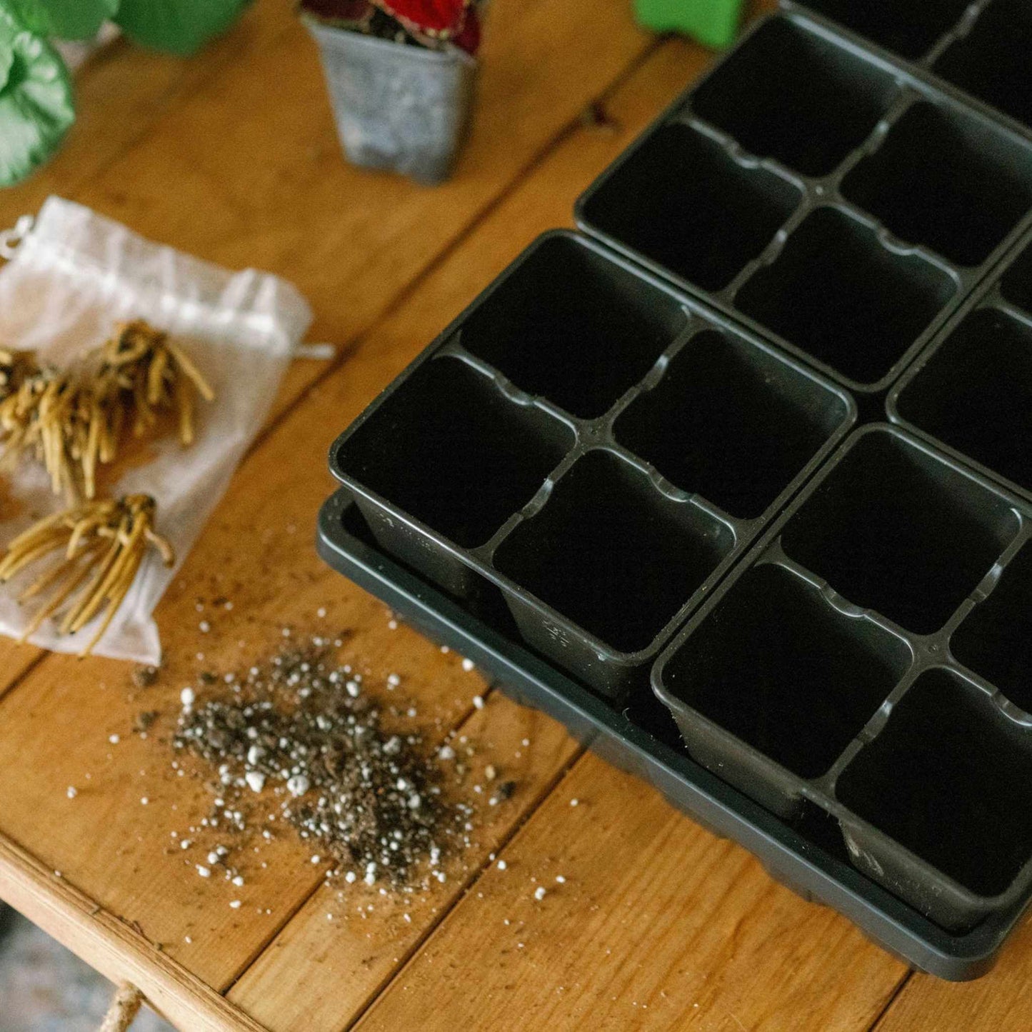 4 Cell Seed Tray Cell Plug Tray