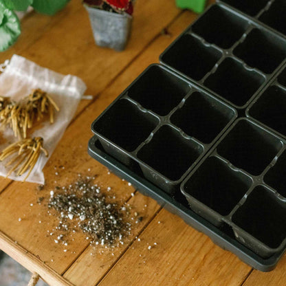 4 Cell Seed Tray Cell Plug Tray