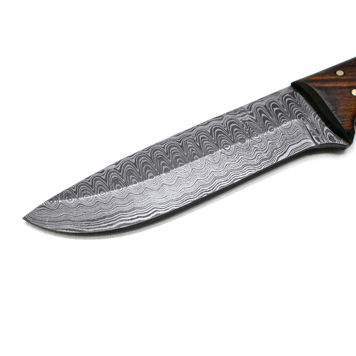 Hand forged Damascus hunting knife by Titan International K with wood handle and patterned Damascus blade on Tampa Home & Garden Store