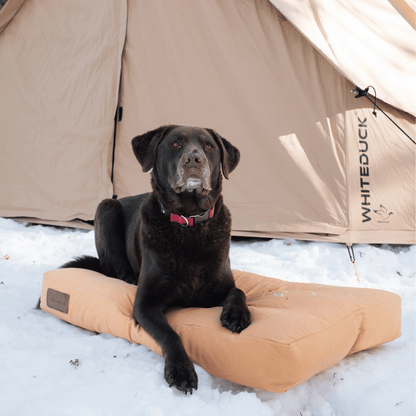 Dog Beds & Dog Bed Covers