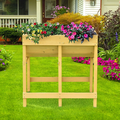- image on Tampa Home & Garden Store