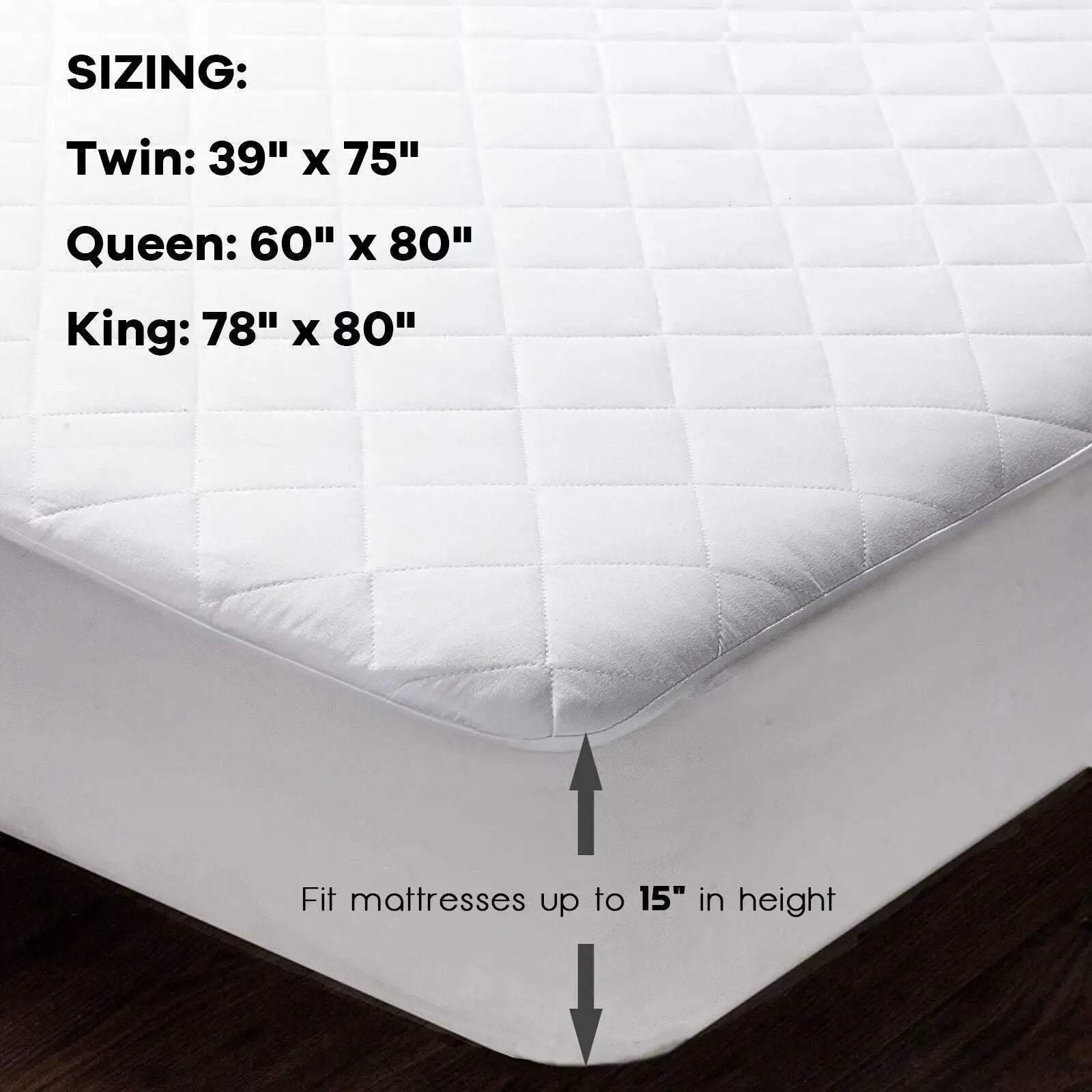 - image on Tampa Home & Garden Store