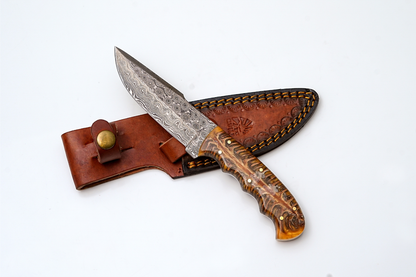 Titan Gecko Damascus steel fixed blade knife with amber pine cone resin handle sheath on Tampa Home & Garden Store