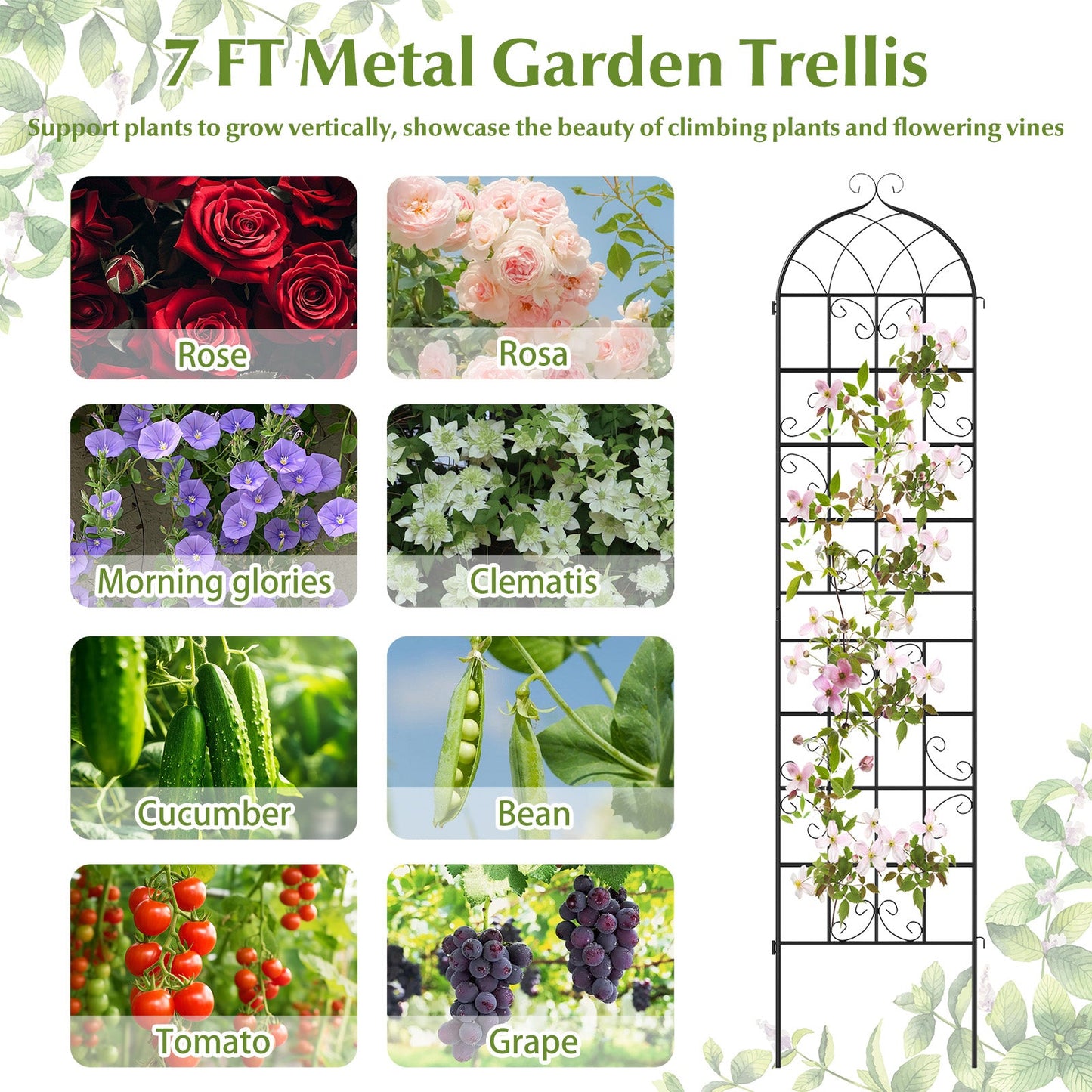 4 Pack 86" x 20" Metal Garden Trellis for Outdoor Climbing Plants