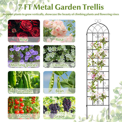 4 Pack 86" x 20" Metal Garden Trellis for Outdoor Climbing Plants