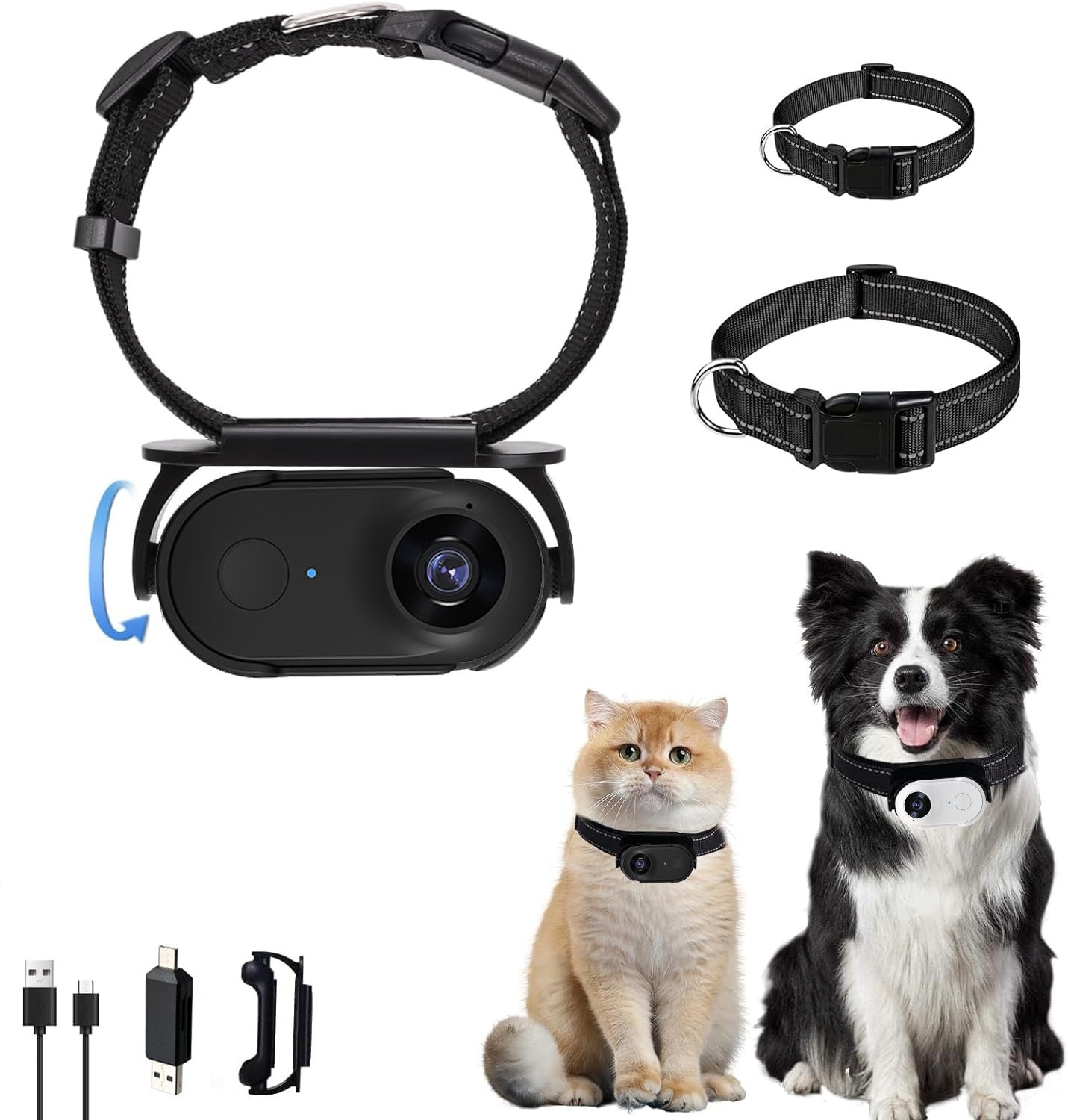 Pet Recorder HD Mini Camera with magnetic strap in black on Tampa Home & Garden Store