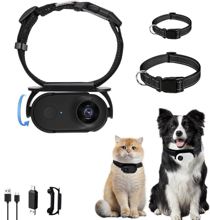 Pet Recorder HD Mini Camera with magnetic strap in black on Tampa Home & Garden Store
