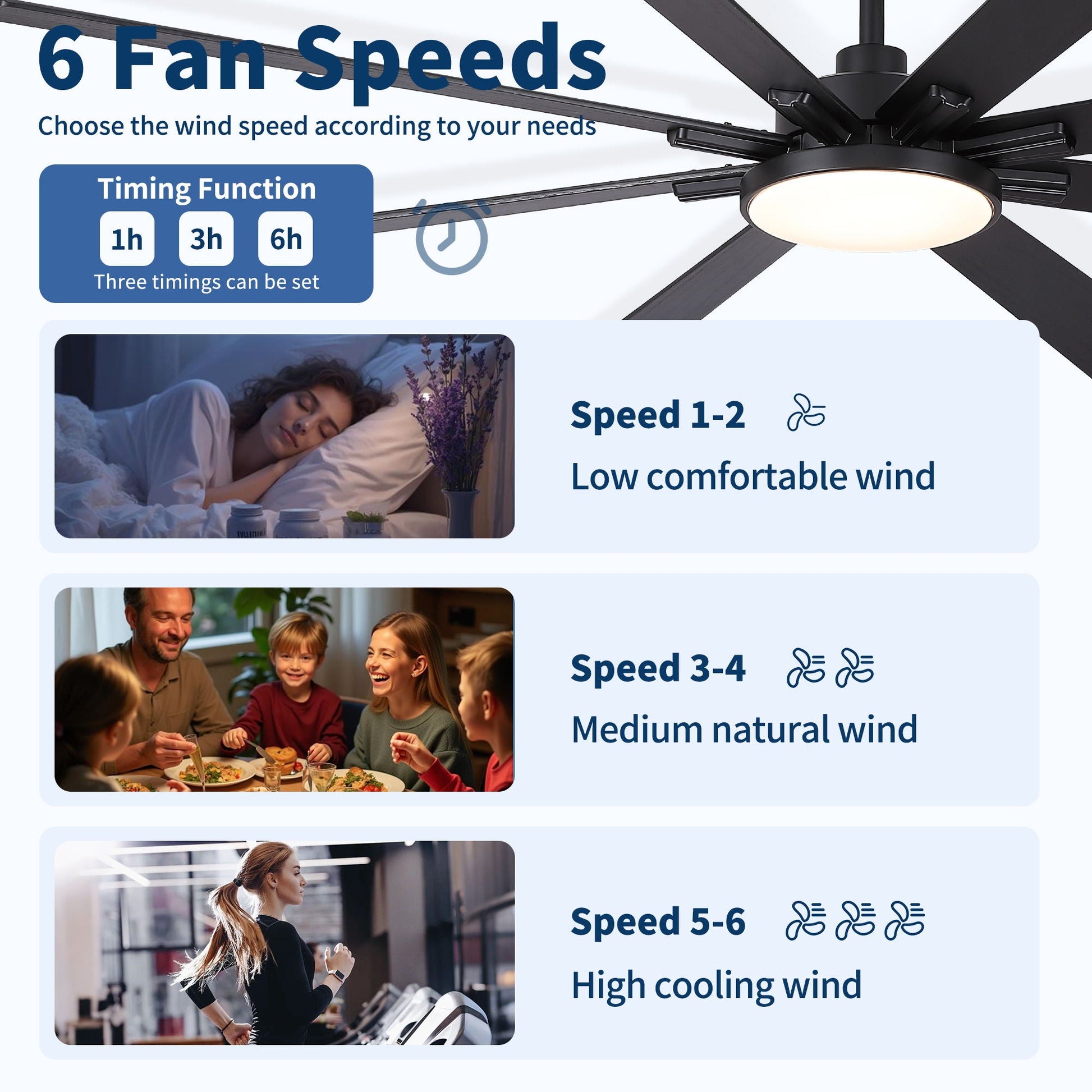 Ceiling fan 8 blades with dimmable LED light remote DC motor black finish HouseOfZazla on Tampa Home & Garden Store