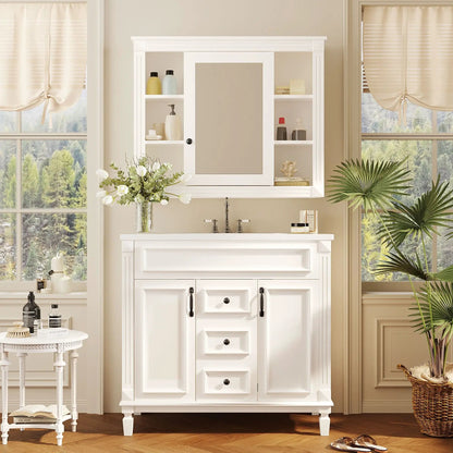 Bathroom Vanity With Top Sink white 2 doors 2 drawers on Tampa Home & Garden Store