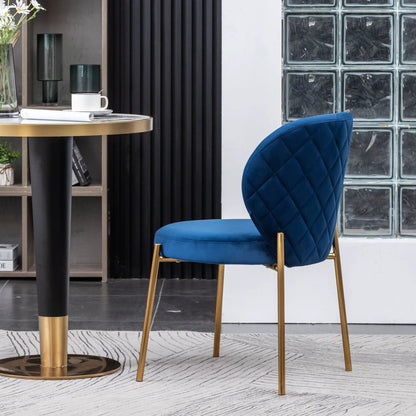Pair of Amoa blue velvet dining chairs, contemporary side chairs with gold metal legs on Tampa Home & Garden Store