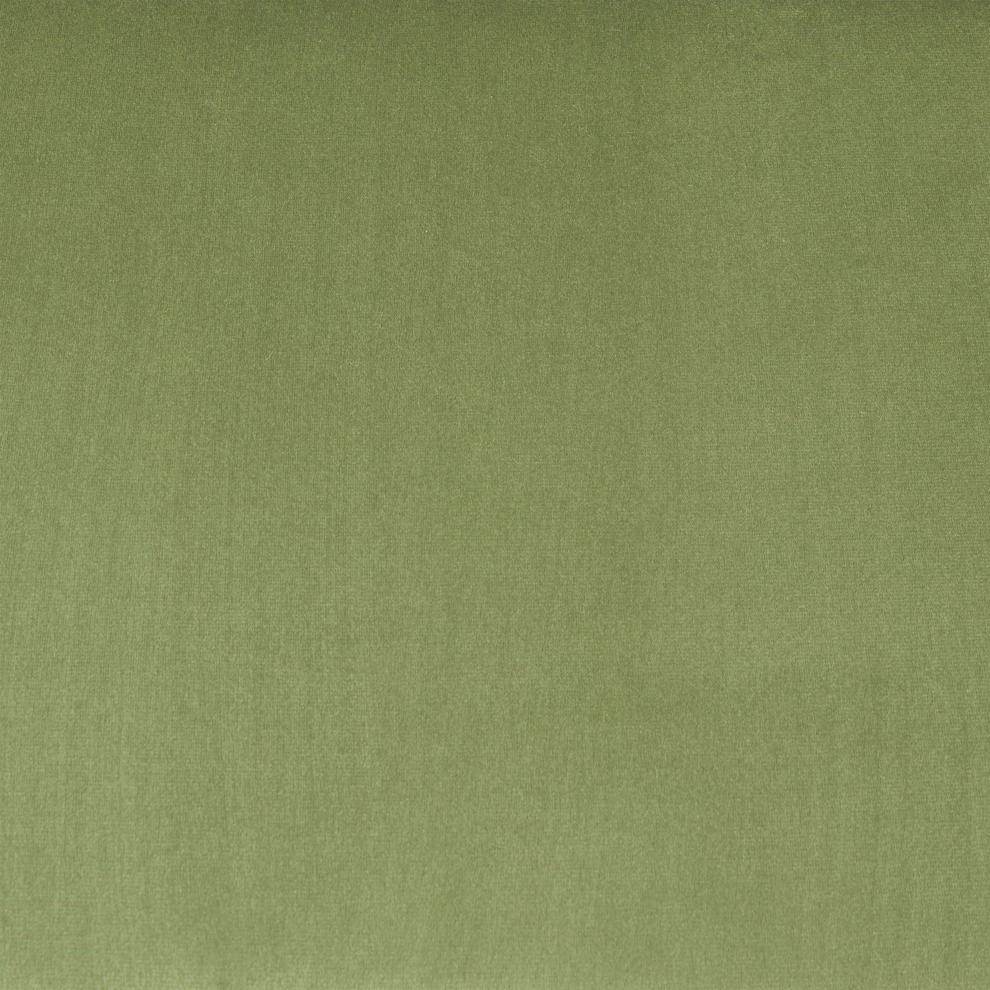 Armchair fabric background in green textured upholstery by HouseOfZazla on Tampa Home & Garden Store