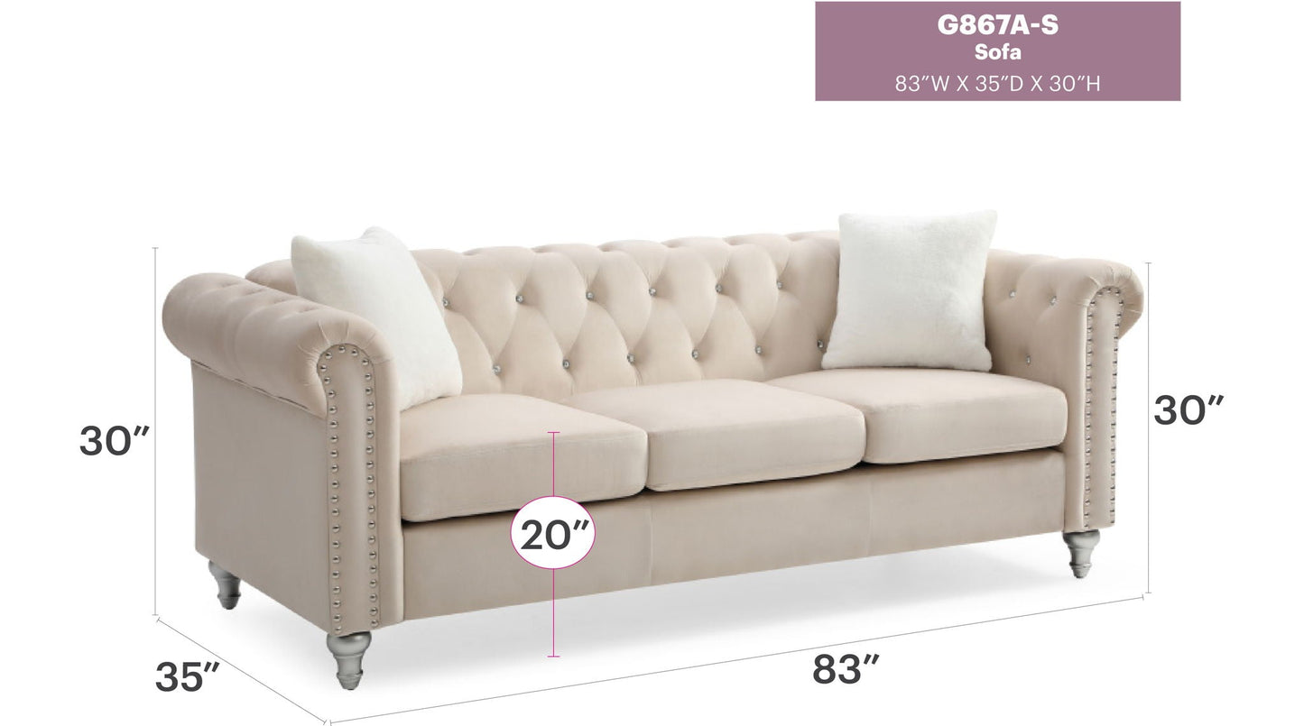 the Raisa Tufted Sofa and Nailhead Accents