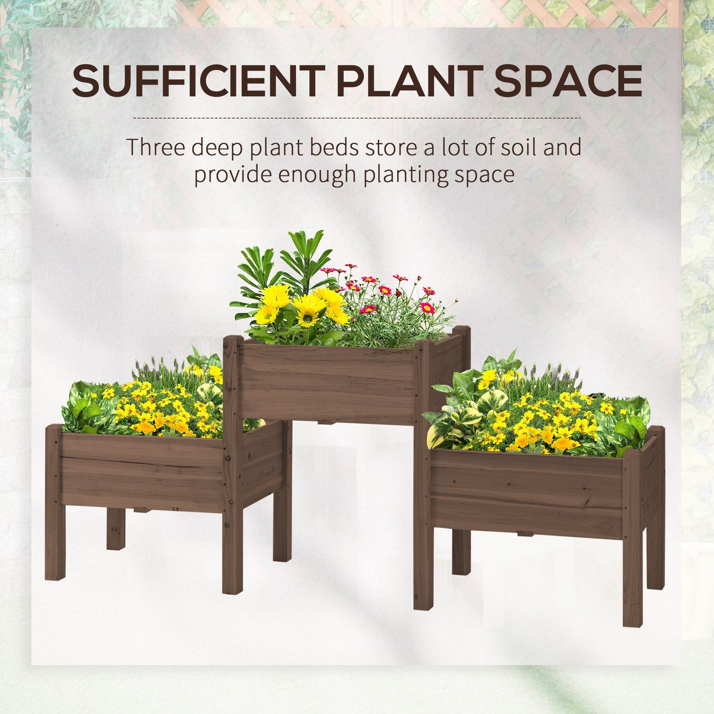 Outsunny wooden raised garden bed with 3 planter boxes on Tampa Home & Garden Store