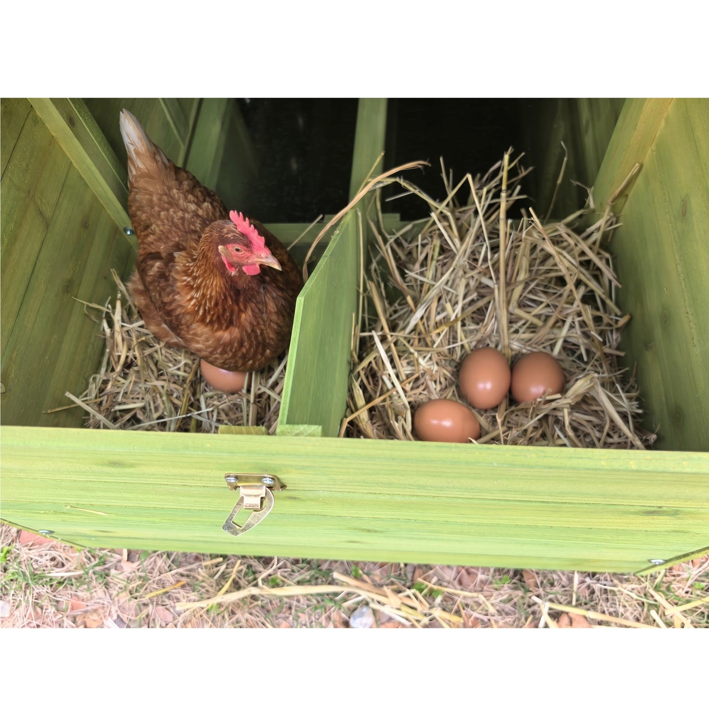 Large Wooden Chicken Coop and Two Nesting Boxes