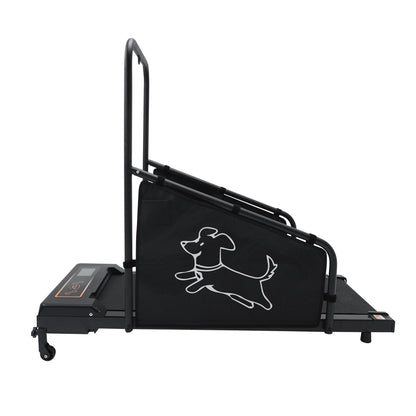 Dog treadmill for medium dogs black non-slip belt remote, HouseOfZazla on Tampa Home & Garden Store