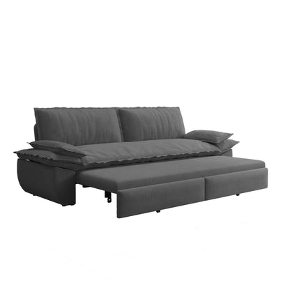 Queen Sleeper Bed and a 3 in 1 Convertible Sofa