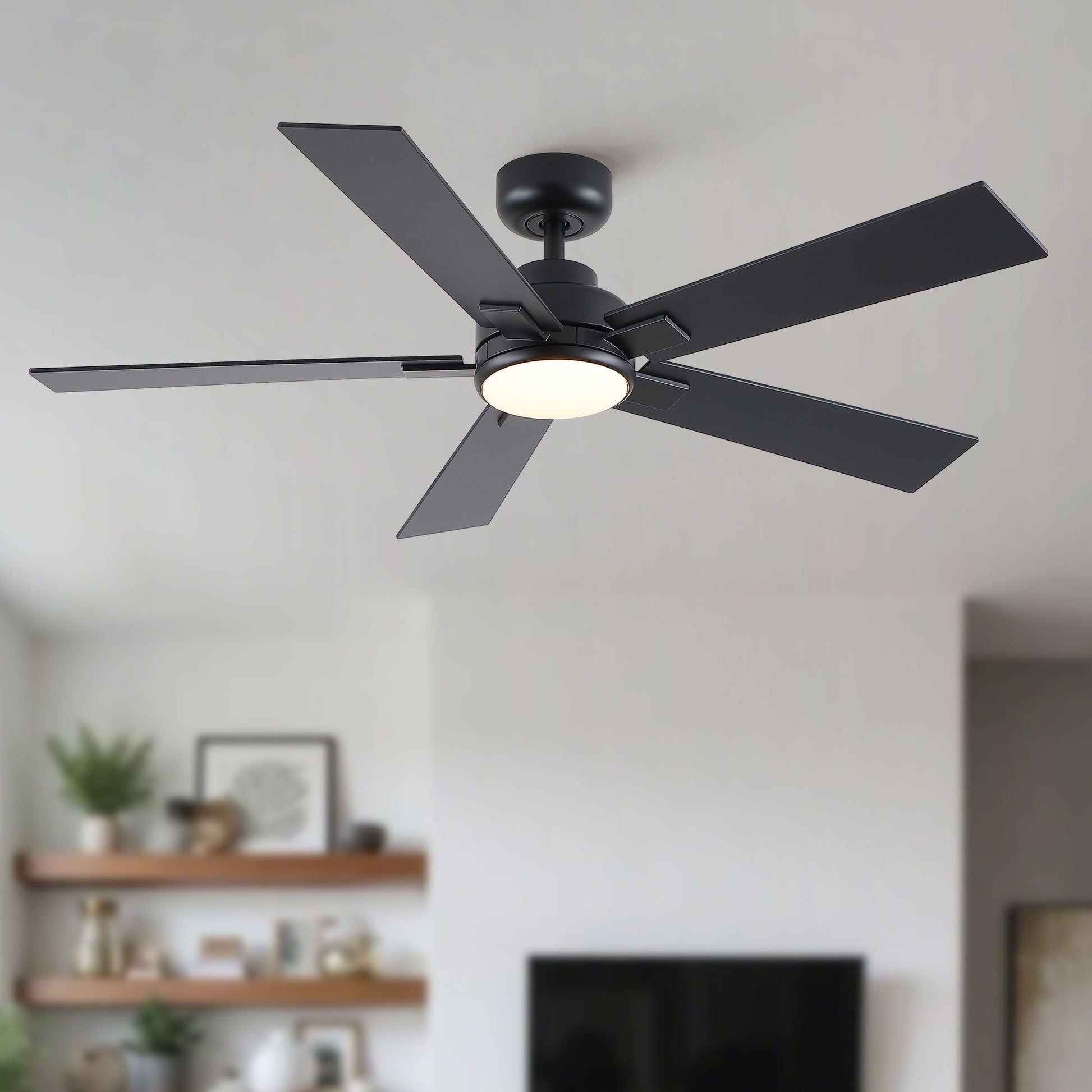 Ceiling fan HouseOfZazla with dimmable LED light and black blades, reversible motor on Tampa Home & Garden Store