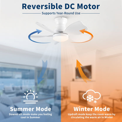 Low Profile Flush Mount Ceiling Fan With Light by HouseOfZazla, white finish on Tampa Home & Garden Store