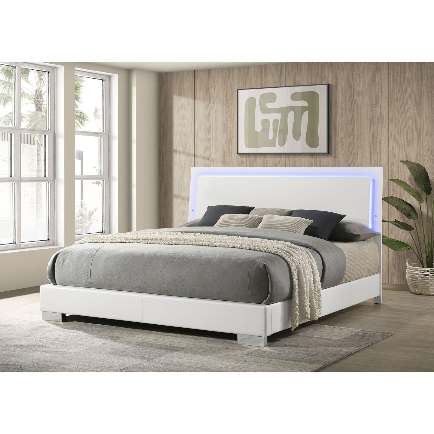 Strick & Bolton high gloss panel bed with LED-lit headboard in gray upholstered platform bed on Tampa Home & Garden Store